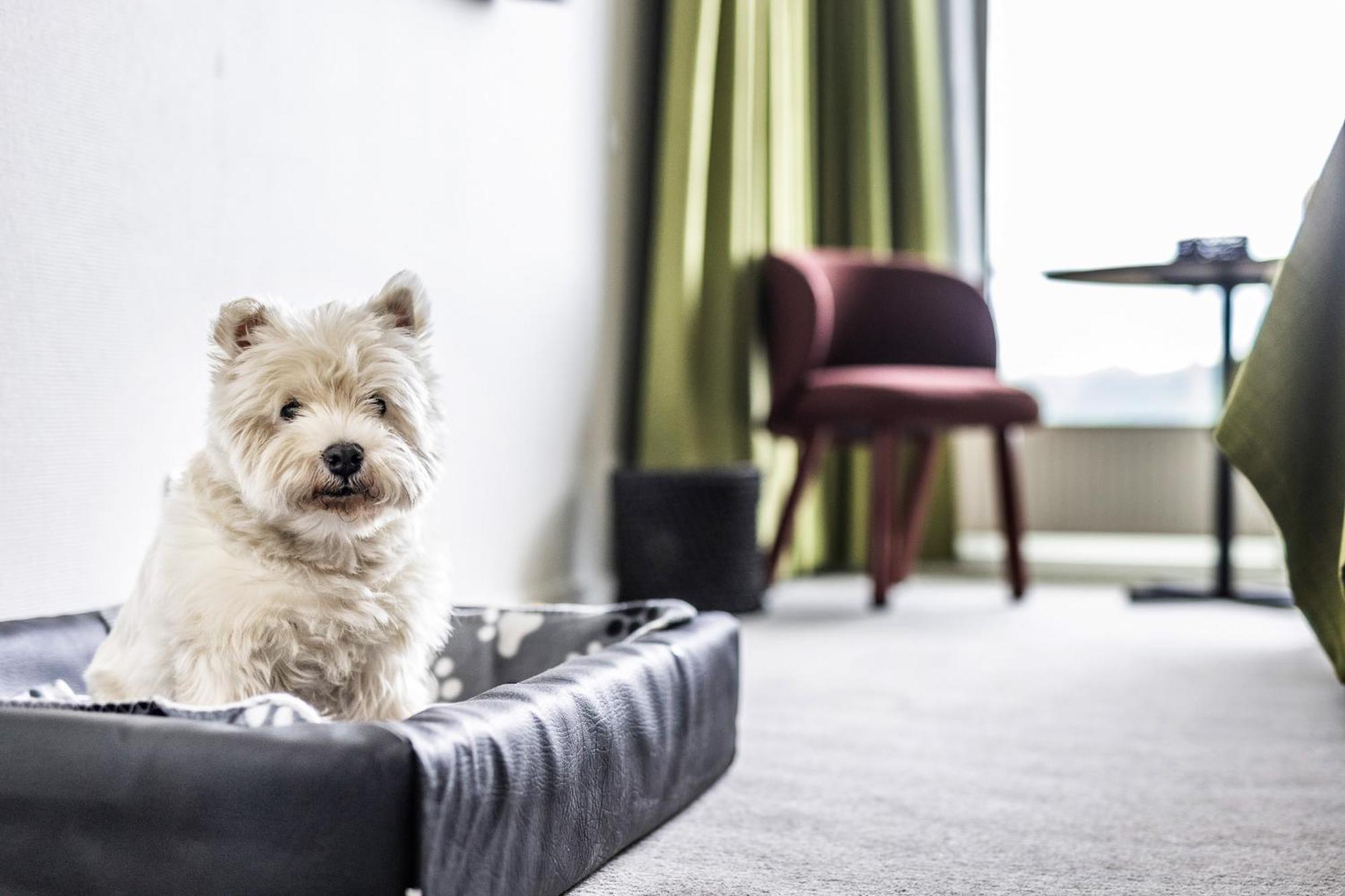 The Note Hotel Vejle Bagian luar foto